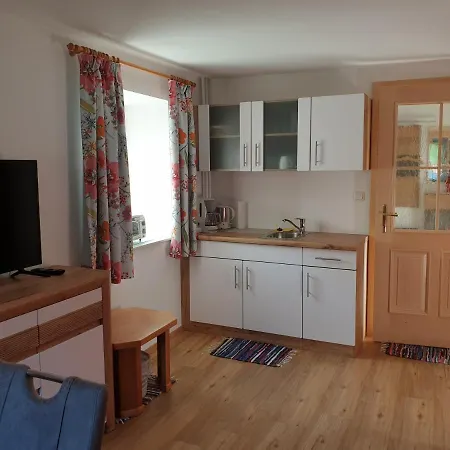 Haus 66 Apartment Obertraun