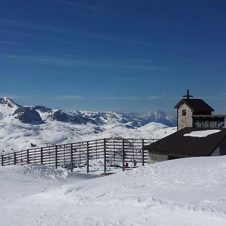 Haus 66 شقة *