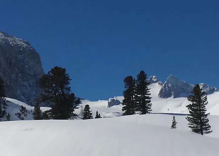 Апартаменты Haus 66