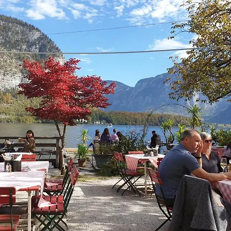 Haus 66 公寓 上特劳恩